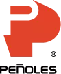 riatsa-logo-penoles